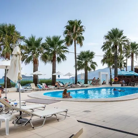 White Olive Premium Cameo 4*