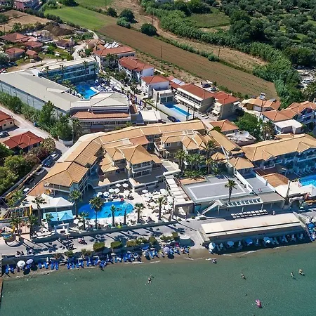 White Olive Premium Cameo Zakintos