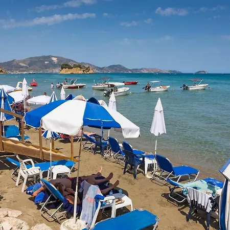 White Olive Premium Cameo