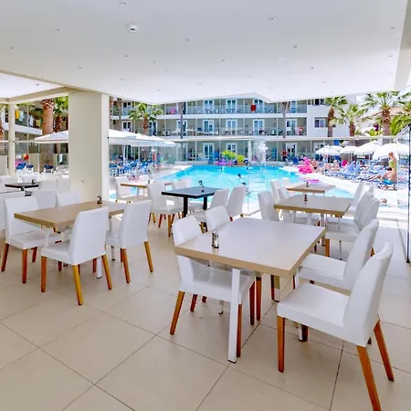 White Olive Premium Cameo 자킨토스 타운